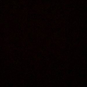 Meet your Posher, Jaden